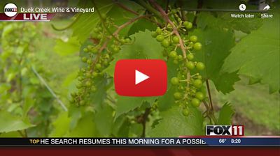 Duck Creek Wine & Vineyard