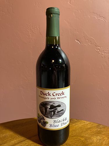 Black and Blue Duck