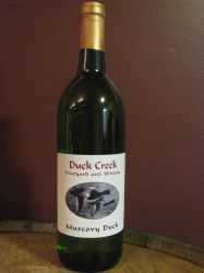 Muscovy Duck